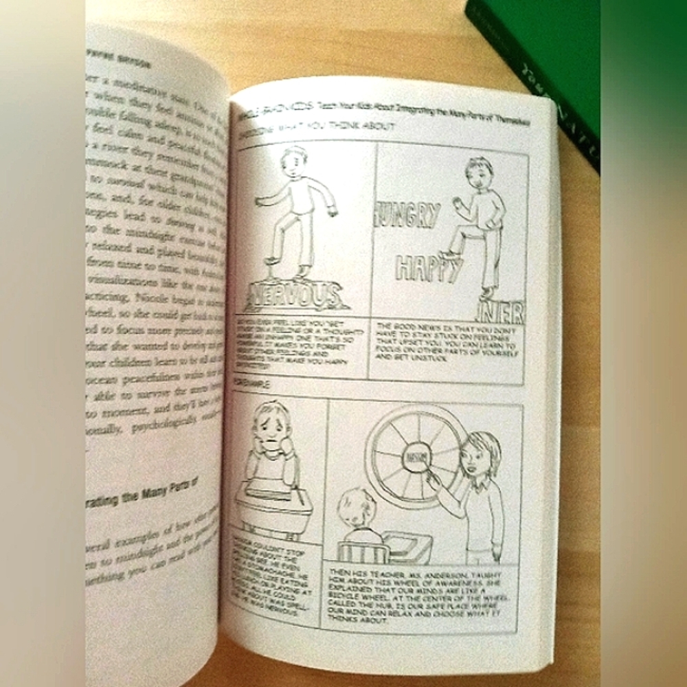 'The Whole Brained Child' by Daniel J. Siegel, M.D.,And Tina Payne Bryson, PH.D. - Picture 3 of 6